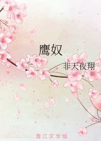 鹰奴