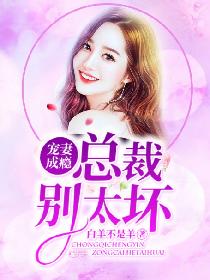 天价宠妻，总裁蓄谋已久