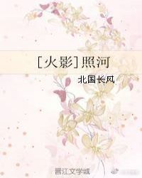 [火影]照河