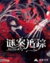 秘案迷踪