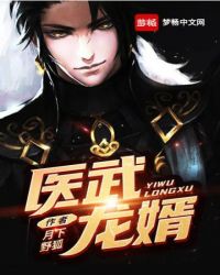 医武龙婿