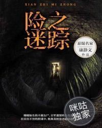 险之迷踪