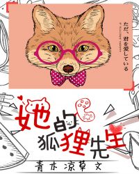 她的狐狸先生
