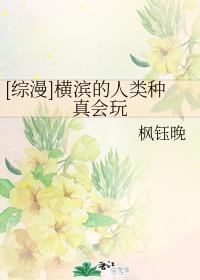 [综漫]横滨的人类种真会玩