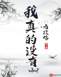 我真的没有看攻略