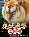 虎妖老婆太凶残