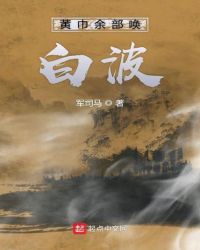 黄巾余部唤白波