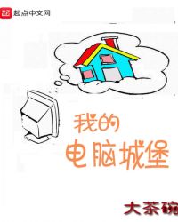 我的电脑城堡