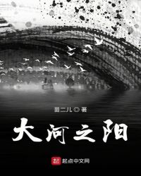 大河之阳