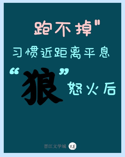 习惯近距离平息“狼”的怒火后跑不掉啦