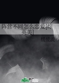 阵营不同怎么恋爱[综英美]
