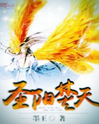 圣阳焚天