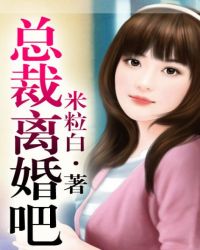 总裁，离婚吧！