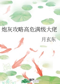 炮灰攻略高危满级大佬