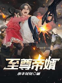 至尊帝婿
