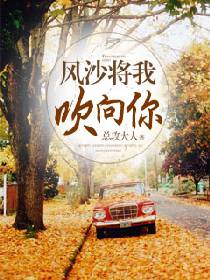 风沙将我吹向你