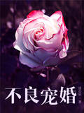 不良宠婚
