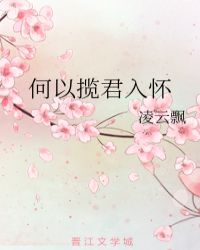 何以揽君入怀