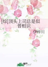 [综]顶头上司总是似曾相识