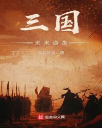 三国未来道路
