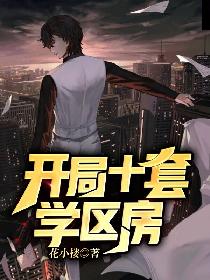 开局十套学区房