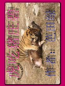 虎吃猪庄碧
