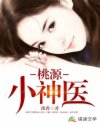 桃源小神医