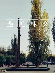 遇见林夕