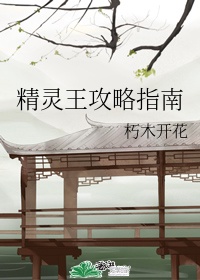 精灵王攻略指南