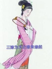 三嫁为夫之缘来缘起