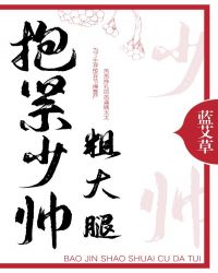 抱紧少帅粗大腿