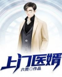 上门医婿