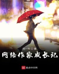 网络作家成长记