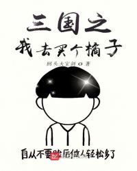 三国之我去买个橘子