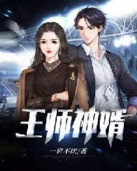 王师神婿