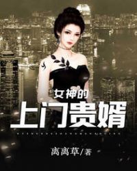 女神的上门贵婿