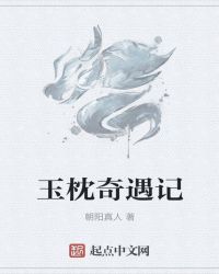玉枕奇遇记