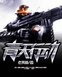 青天行动