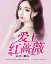 爱上红蔷薇