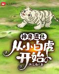 神兽进化，从小白虎开始