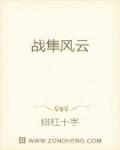 战隼风云