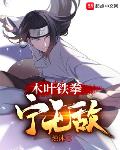 木叶铁拳宁无敌