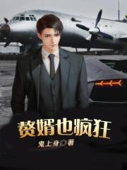 赘婿也疯狂
