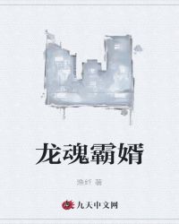 龙魂霸婿
