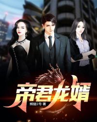 帝君龙婿