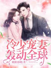 冷少宠妻轰动全球