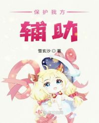 保护我方辅助