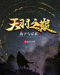 天羽之巅