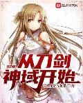 综漫：从刀剑神域开始