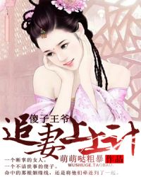 傻子王爷追妻上上计